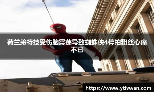 赏金国际